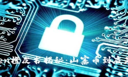 imToken橙皮书揭秘：山寨币到底是什么？