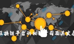 国家区块链平台的相关公司及其发展状况