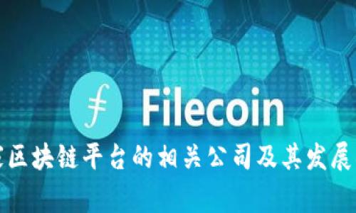 国家区块链平台的相关公司及其发展状况