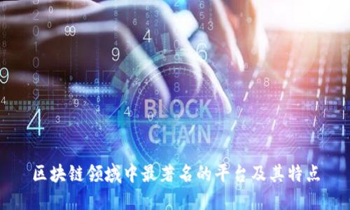区块链领域中最著名的平台及其特点