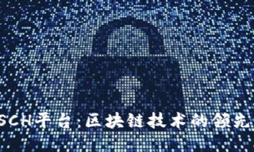ASCH平台:区块链技术的领先者