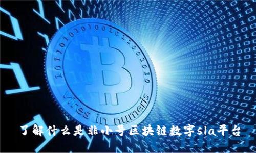 了解什么是非小号区块链数字sla平台