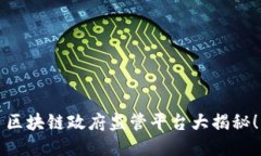 区块链政府监管平台大揭秘！