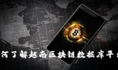 如何了解越南区块链数据库平台？