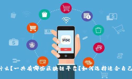 区块链平台是什么？一共有哪些区块链平台？如何选择适合自己的区块链平台？