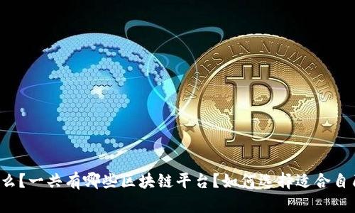 区块链平台是什么？一共有哪些区块链平台？如何选择适合自己的区块链平台？