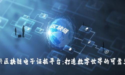 嘉兴区块链电子证据平台：打造数字世界的可靠见证
