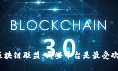 探索区块链联盟:哪些平台是最受欢迎的?