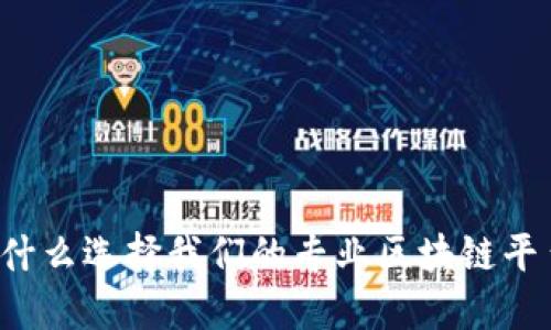 为什么选择我们的专业区块链平台？