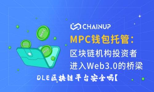 DLE区块链平台安全吗？