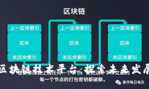 应用区块链技术平台：探索未来发展趋势