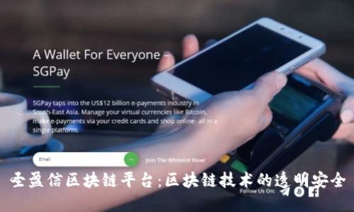 圣盈信区块链平台：区块链技术的透明安全