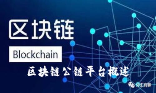 区块链公链平台概述
