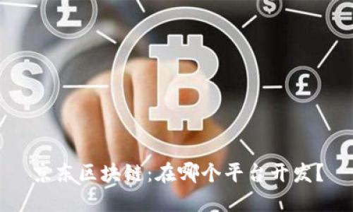 京东区块链：在哪个平台开发？