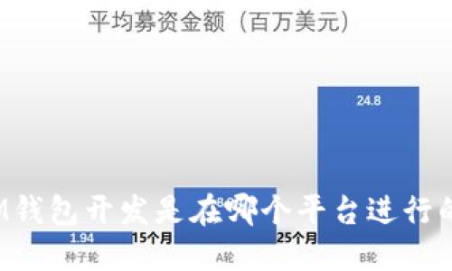 IM钱包开发是在哪个平台进行的?