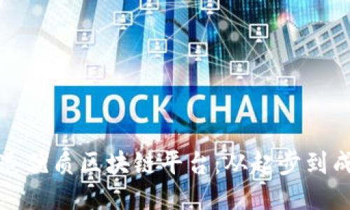 打造优质区块链平台：从起步到成功