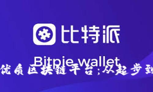打造优质区块链平台：从起步到成功