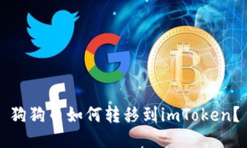 狗狗币如何转移到imToken？