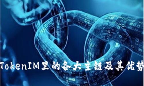 TokenIM里的各大主链及其优势