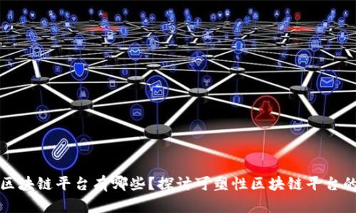 可修订的区块链平台有哪些?探讨可塑性区块链平台的发展趋势