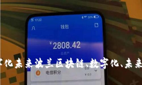 波兰区块链平台：打造数字化未来波兰区块链、数字化、未来、区块链技术/guanjianci