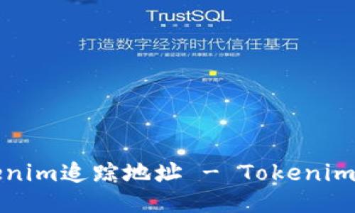 如何使用Tokenim追踪地址 - Tokenim地址追踪指南
