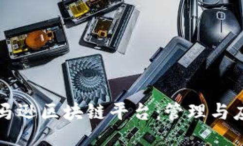 亚马逊区块链平台：管理与应用