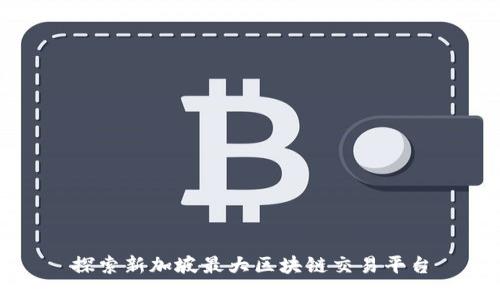 探索新加坡最大区块链交易平台