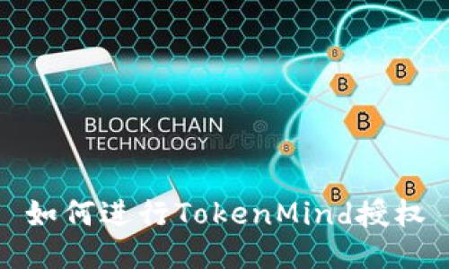如何进行TokenMind授权