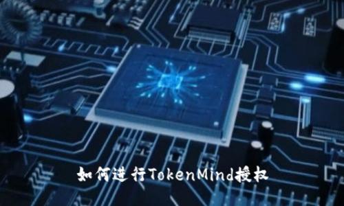 如何进行TokenMind授权