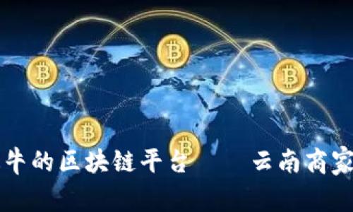 打造云南最牛的区块链平台——云南商家区块链平台
