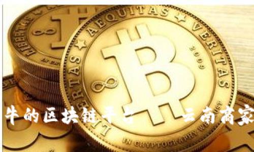 打造云南最牛的区块链平台——云南商家区块链平台