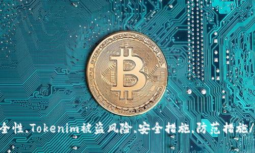 Tokenim安全性,Tokenim被盗风险,安全措施,防范措施/guanjianci
