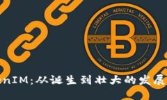 TokenIM：从诞生到壮大的发展历程