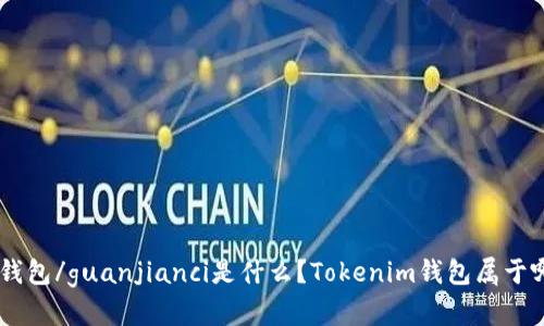 Tokenim钱包/guanjianci是什么？Tokenim钱包属于哪种钱包？
