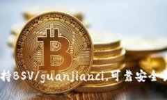 Tokenim/guanjianci支持BSV/guanjianci，可靠安全易用的加