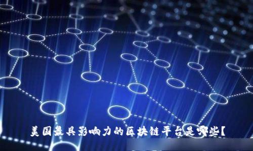 美国最具影响力的区块链平台是哪些？