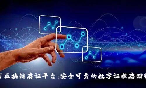 众享区块链存证平台：安全可靠的数字证据存储服务