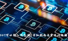 USDT可以转入钱包吗？详细指南与常见问题解答