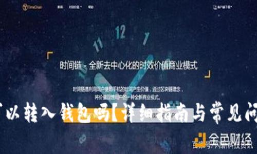USDT可以转入钱包吗？详细指南与常见问题解答