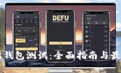 以太坊钱包测试：全面指南与最佳实践