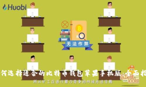 如何选择适合的比特币钱包苹果手机版：全面指南