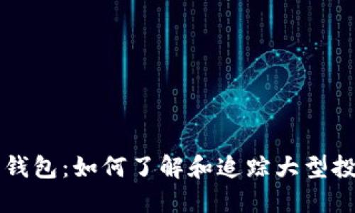 以太坊鲸鱼钱包：如何了解和追踪大型投资者的动态