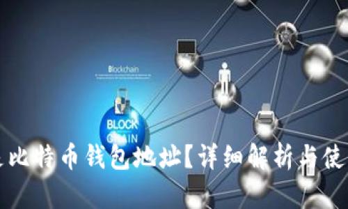什么是比特币钱包地址？详细解析与使用指南