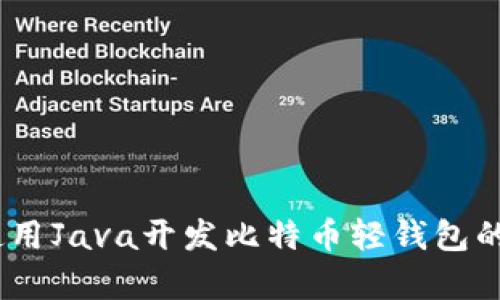 全面解析：使用Java开发比特币轻钱包的步骤与技巧