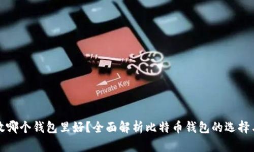 比特币放哪个钱包里好？全面解析比特币钱包的选择与安全性