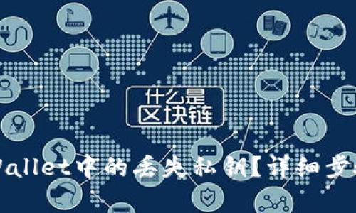 如何找回TPWallet中的丢失私钥？详细步骤与技巧解析