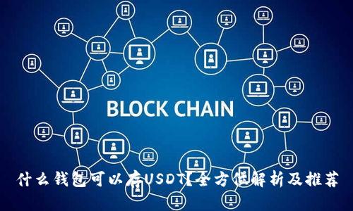 什么钱包可以存USDT？全方位解析及推荐
