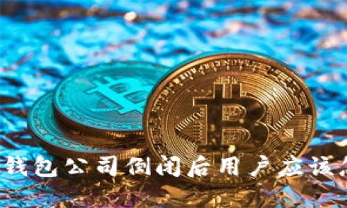 比特币钱包公司倒闭后用户应该怎么做？