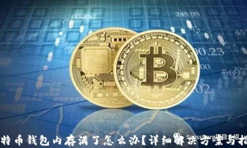 
比特币钱包内存满了怎么办？详细解决方案与指南